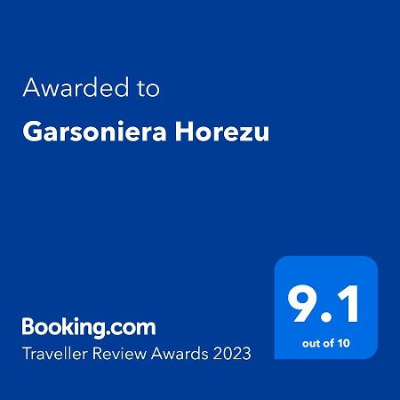 Garsoniera Horezu Apartment Luaran gambar