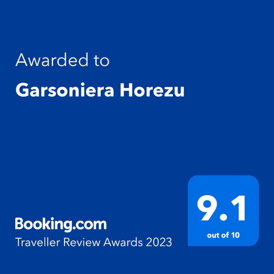 Garsoniera Horezu Apartment Luaran gambar